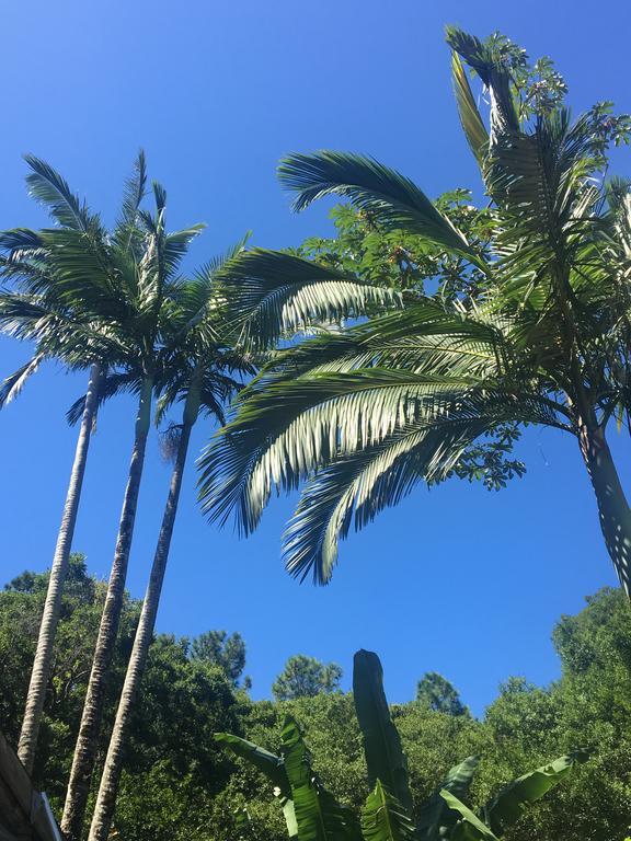 Hotel Pousada Jardim Da Lagoa Florianópolis Zewnętrze zdjęcie